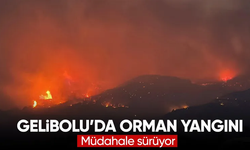 Çanakkale Gelibolu’da Orman Yangını: 5 Köy Tahliye Edildi