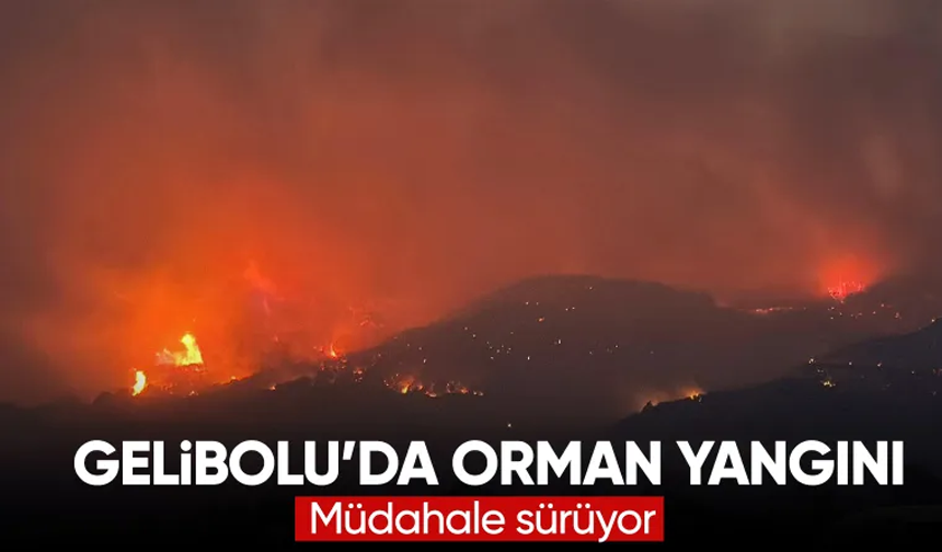 Çanakkale Gelibolu’da Orman Yangını: 5 Köy Tahliye Edildi