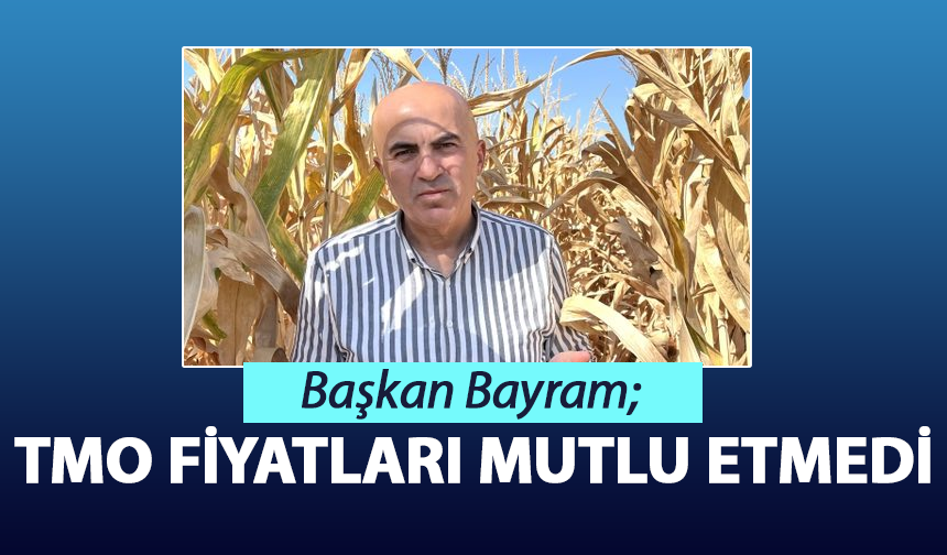TMO’nun Mısır Fiyatı Karamanlı Çiftçiyi Memnun Etmedi